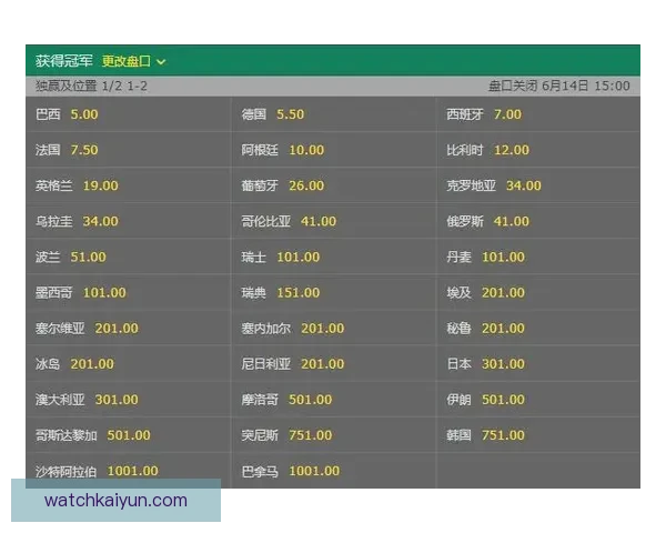 揭秘世界杯买球赔率背后的隐秘规律与投资策略分析